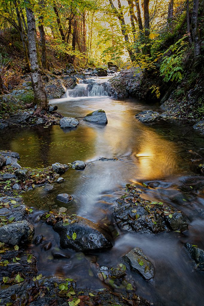 Galice Creek Fall by: LarryPollock