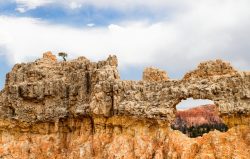 Bryce Canyon Window Revisited by Pam Arbogast