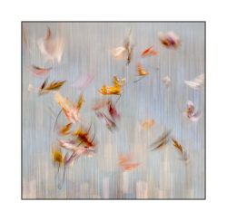 Fall Ballet by Susan Sheets