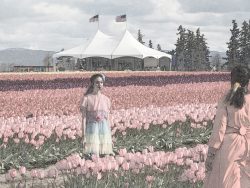 American Beauty by Nomeca Hartwell
