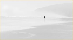 One Foggy Day by Rose Christner