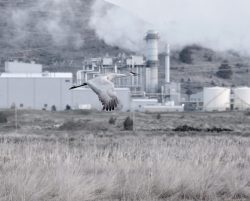 Industry and Nature