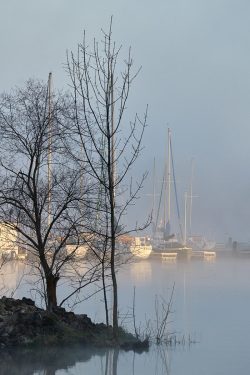 Morning Mist by Larry Pollock Morning Mist by Larry Pollock