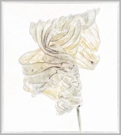 Hasta Leaf Confection by Susan Sheets Hasta Leaf Confection by Susan Sheets