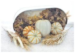 Fall Pumpkins by Carol Bern Fall Pumpkins by Carol Bern