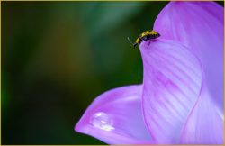 Long Way Down by Rose Christner