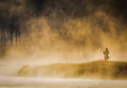 Fishing In The Madison Mist by Lynda Rodig