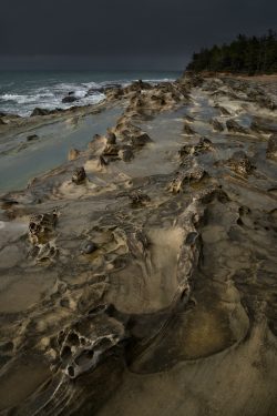 Cape Arago by Jim Ingraham Cape Arago by Jim Ingraham