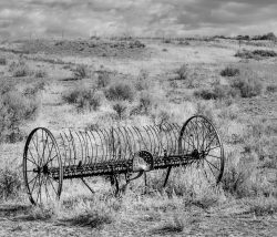 An Echo of Past Harvests by Lynda Rodig