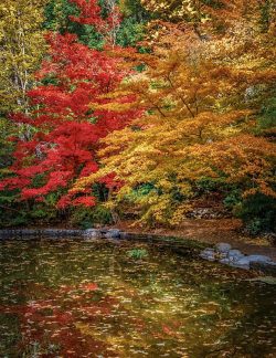 Autumn Quite Of Colors by Bridget Cline