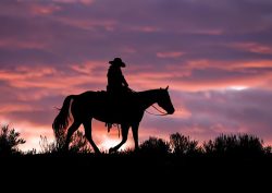 Riding the Edge of Dawn by Lynda Rodig