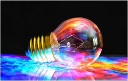 Junk Drawer Lightbulb by Carol Bern