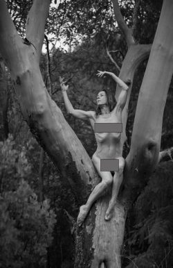 Madrone by Anna Garrison Madrone by Anna Garrison