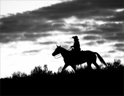 Heading Home by Lynda Rodig Heading Home by Lynda Rodig