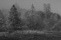 Fog and Frost by Jim Ingraham Fog and Frost by Jim Ingraham