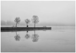 Peaceful Morning by Carol Bern Peaceful Morning by Carol Bern