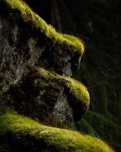 Natural Architecture by Renee Goyeneche
