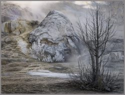 A Pretty Rock by Susan Sheets