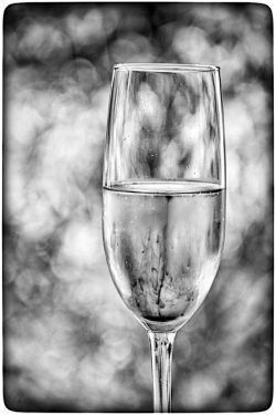 Cheers by Carol Burn