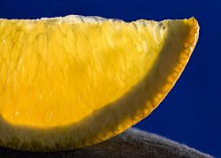 Orange Slice by Jim Ingraham
