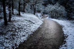 Backside Trail by Jim Ingraham