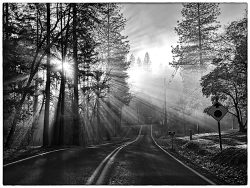 Torad Less Traveled by Larry Pollock