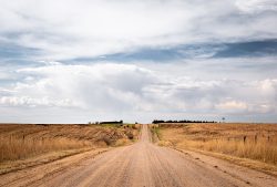 Into the Distance by Lynda Rodig
