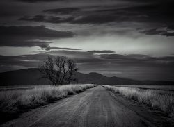 Road Less Traveled by Susan Sheets