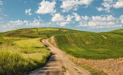 Road & Hills by Bridget Cline