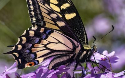 May 2025 Digital Winners Assigned Category – Angles