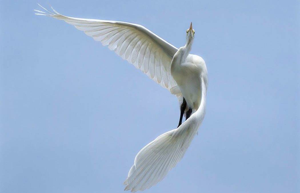 September 2025 Assigned Category – Flight
