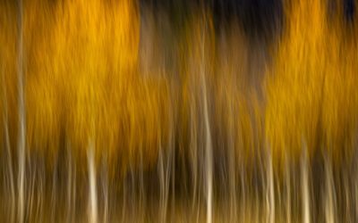 November 2024 Print Winners